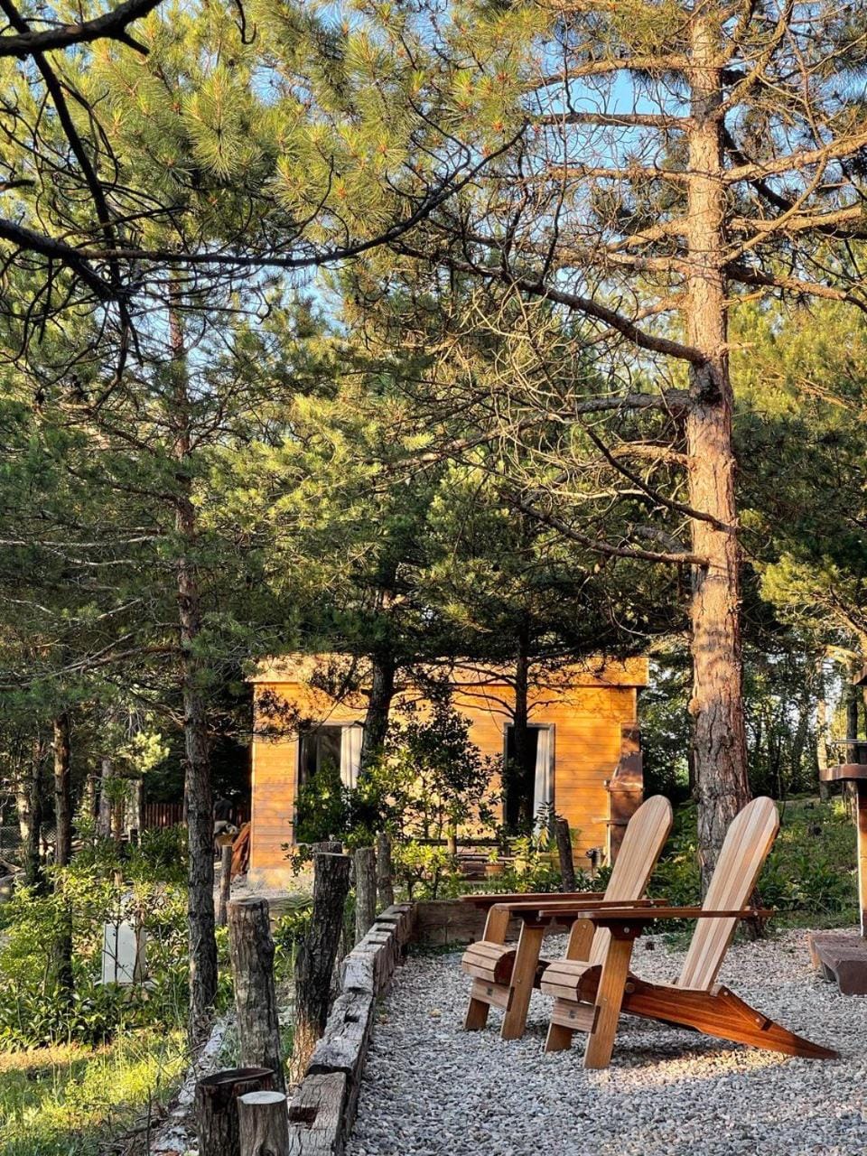 Redpine Guesthouse Chalet in Turkey