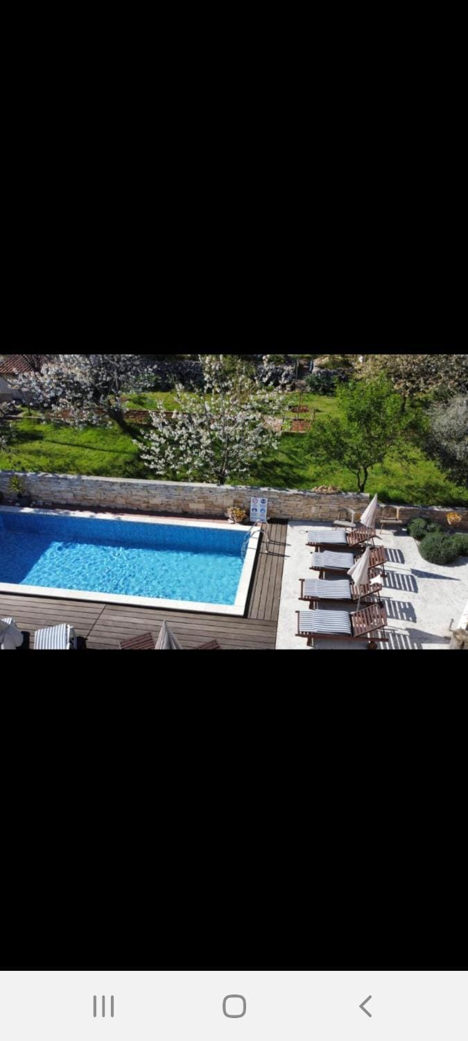 Day, Natural landscape, Garden view, Pool view, Swimming pool, sunbed