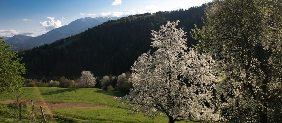 Nearby landmark, Spring, Natural landscape, Mountain view