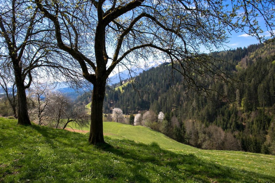 Spring, Natural landscape