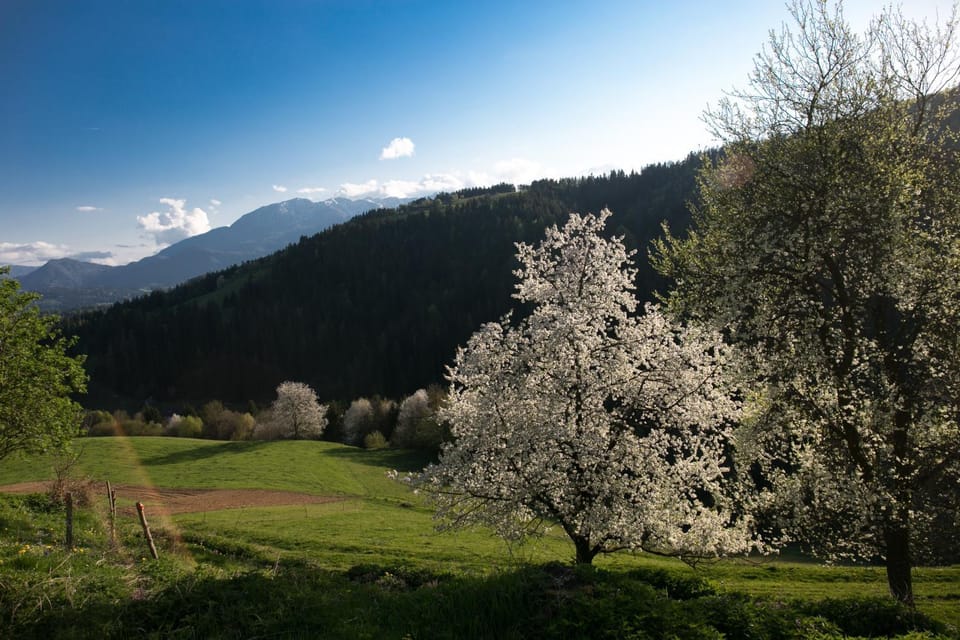Spring, Natural landscape, Mountain view