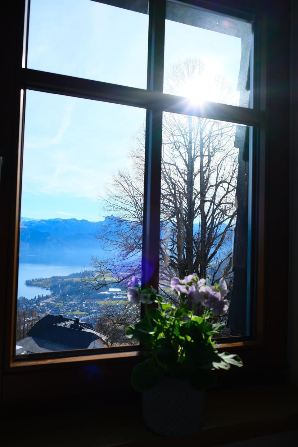 Lake view
