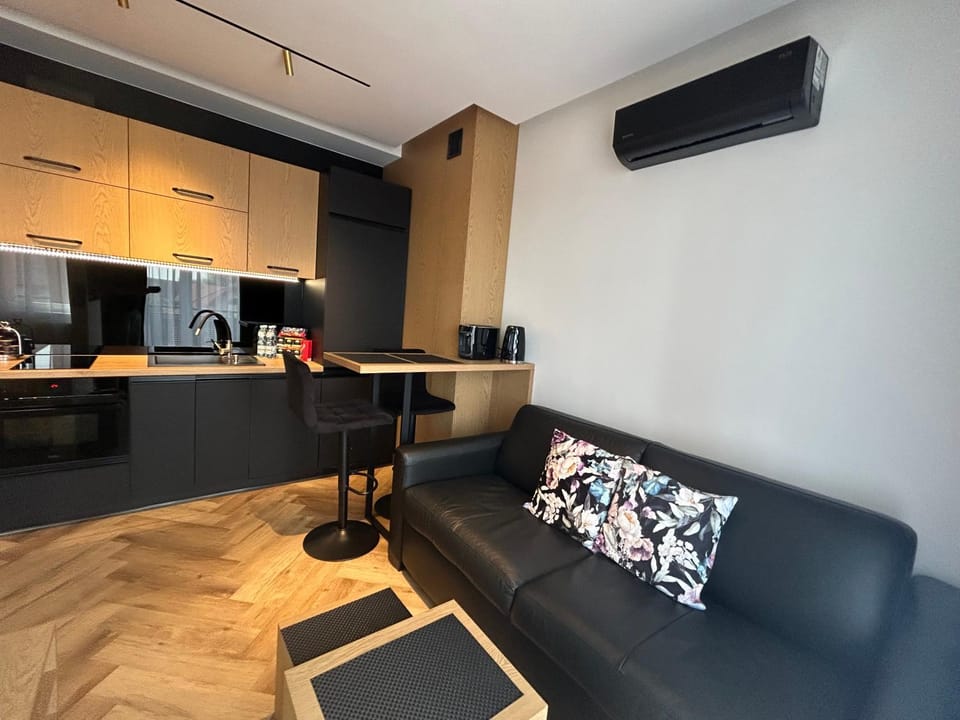 Business Apartment Płock Apartment in Masovian Voivodeship