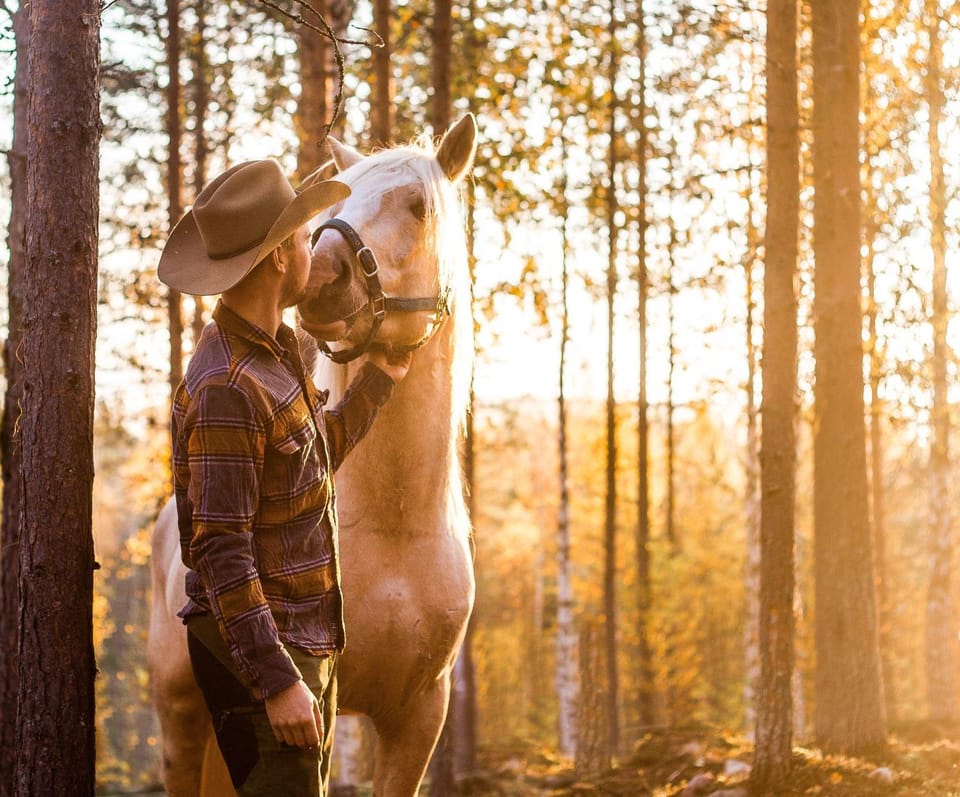 Natural landscape, Horse-riding, Animals, Pets