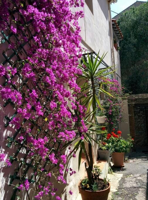 Coup de coeur de la cité médiévale House in Hyères