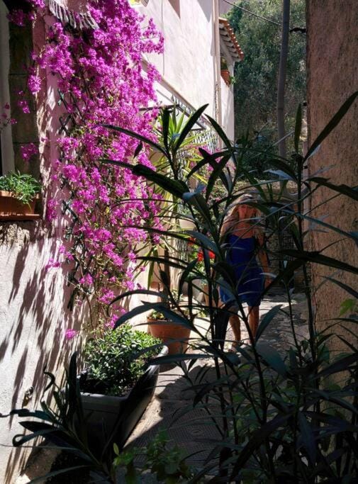 Coup de coeur de la cité médiévale House in Hyères