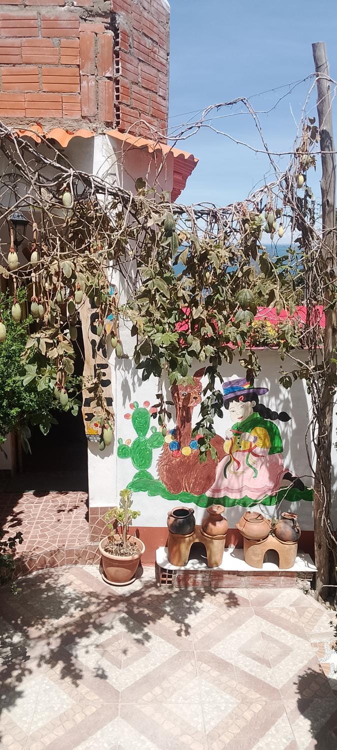 Day, Garden, Garden view