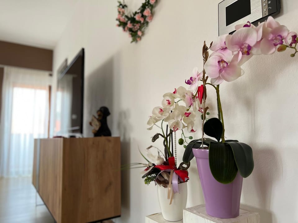 People, TV and multimedia, Living room, Lobby or reception, group of guests