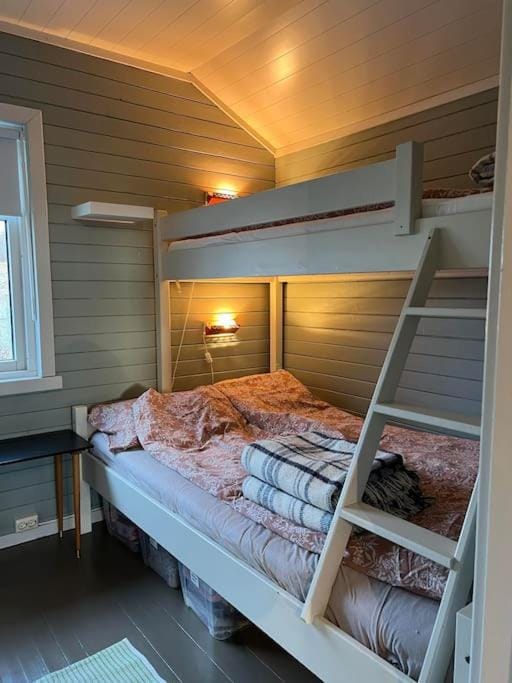 Bed, Photo of the whole room, Bedroom, bunk bed