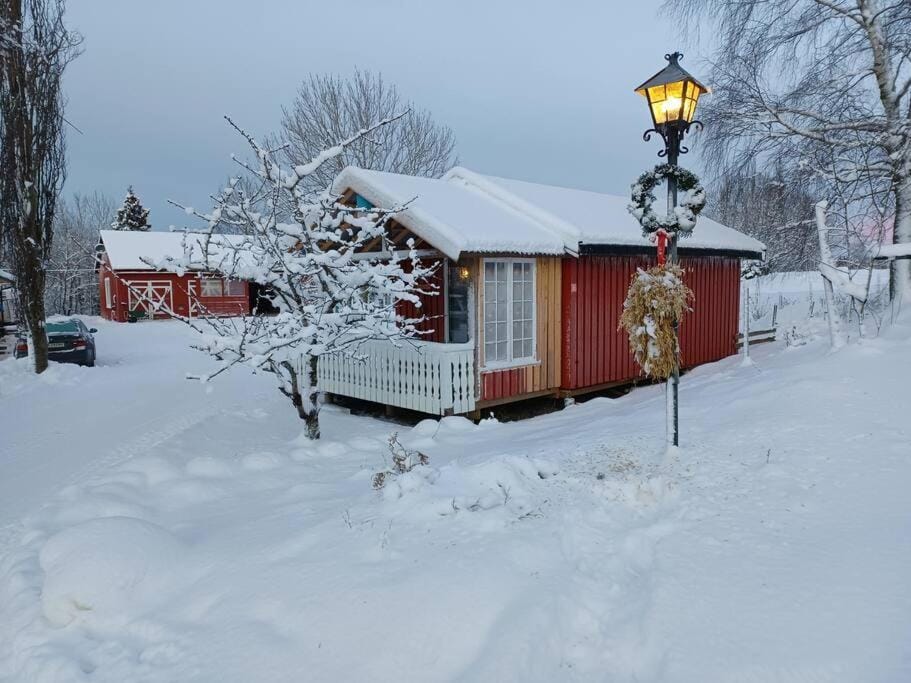 Property building, Natural landscape, Winter