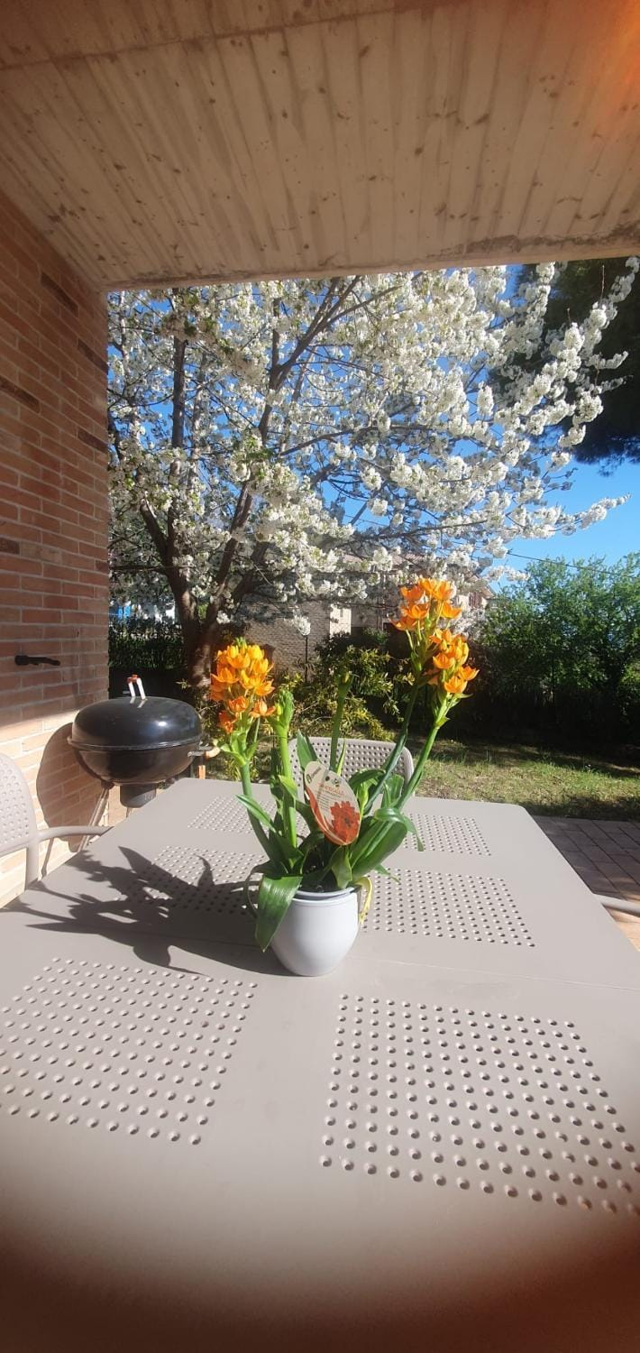 La Casa delle Ciliegie House in Assisi