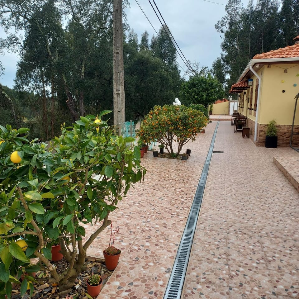 Casa Pejão Do Paraíso House in Porto District