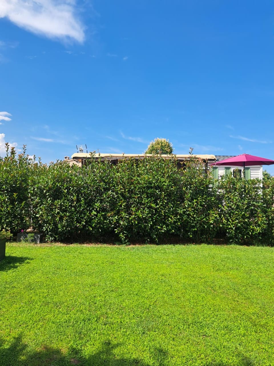 Le jardin de Domi Apartment in Ventiseri