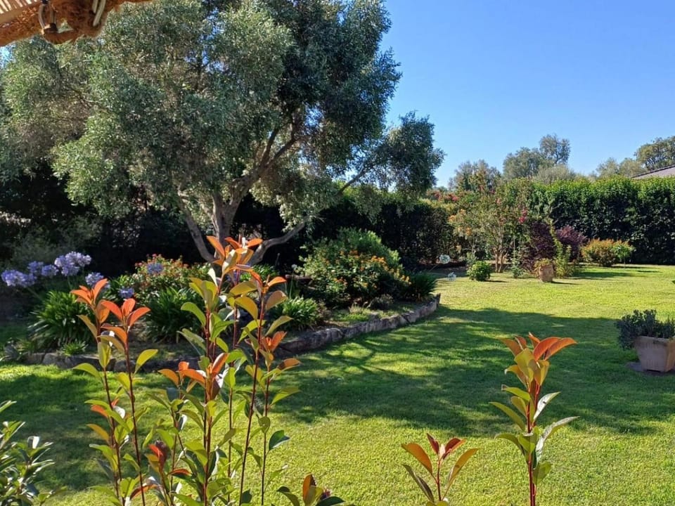 Garden, Garden view