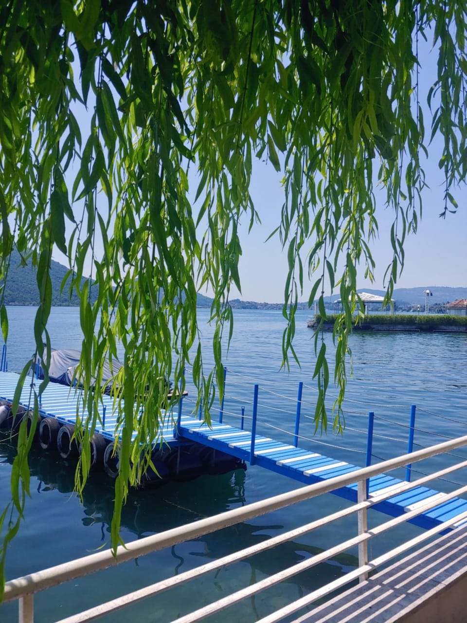 Natural landscape, Garden, Lake view
