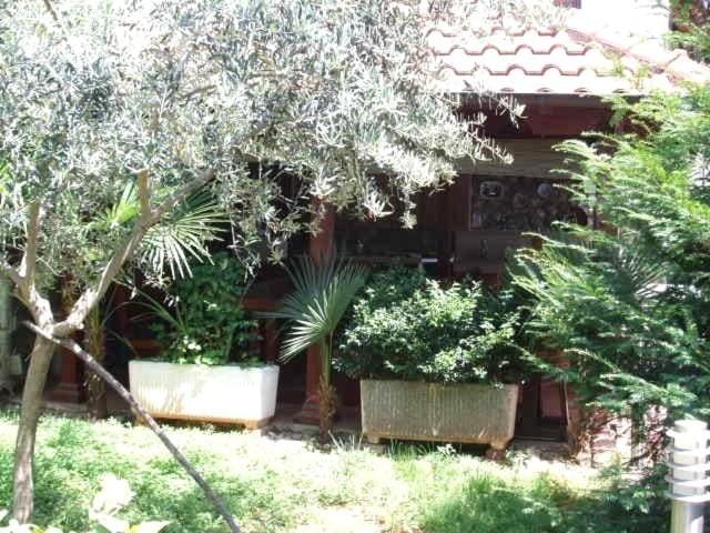 BBQ facilities