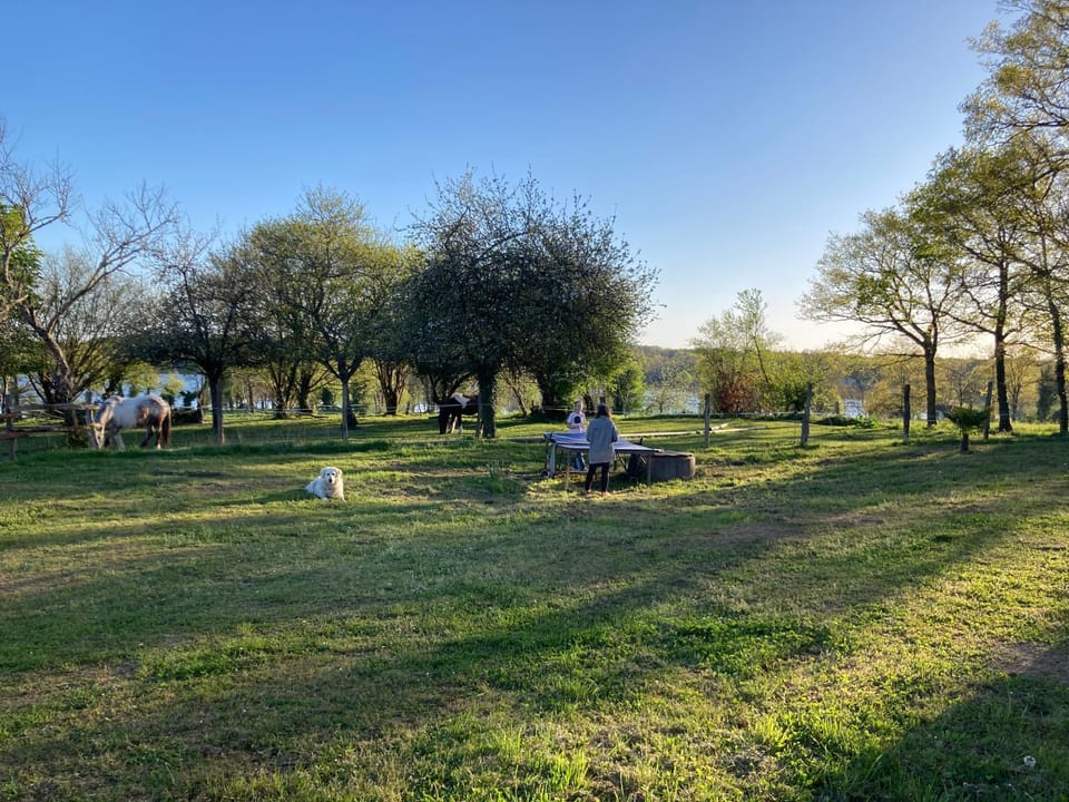 Gîte à la campagne au bord d'un Lac 8 personnes House in Nouvelle-Aquitaine