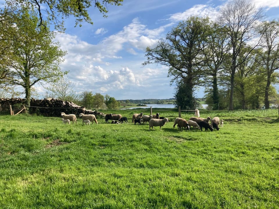 Gîte à la campagne au bord d'un Lac 8 personnes House in Nouvelle-Aquitaine