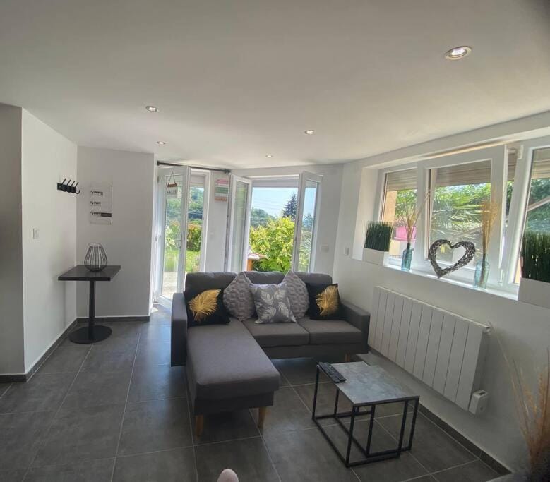 Le jardin suspendu Apartment in Vaulx-en-Velin