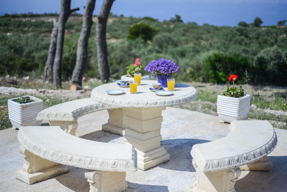 Patio, Spring, Day, Natural landscape, Garden, Seating area, Dining area, Garden view
