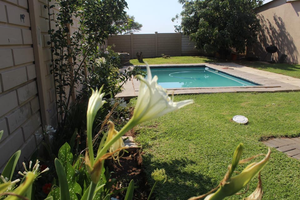 Garden, Swimming pool