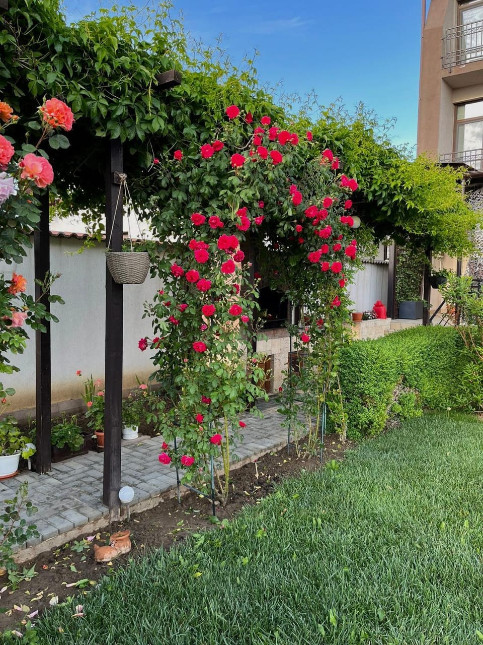 Garden, Garden view