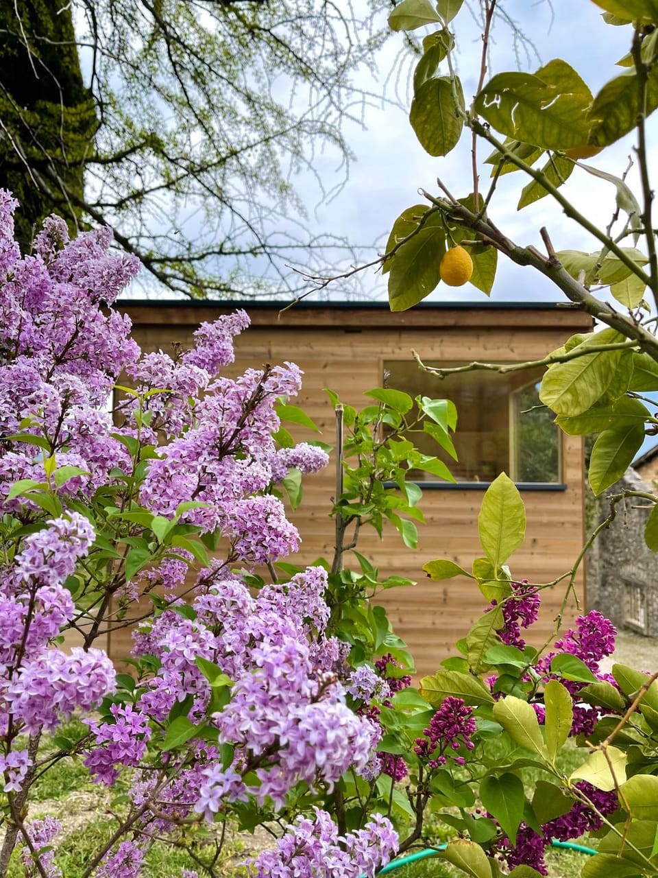 Sauna, Sauna