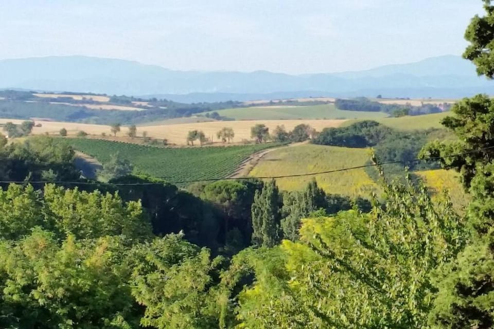 Spring, Day, Natural landscape, Garden, Mountain view