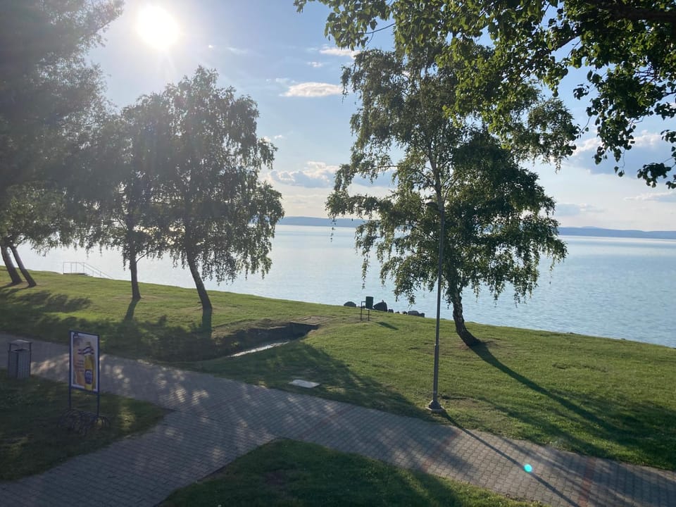 Lake view