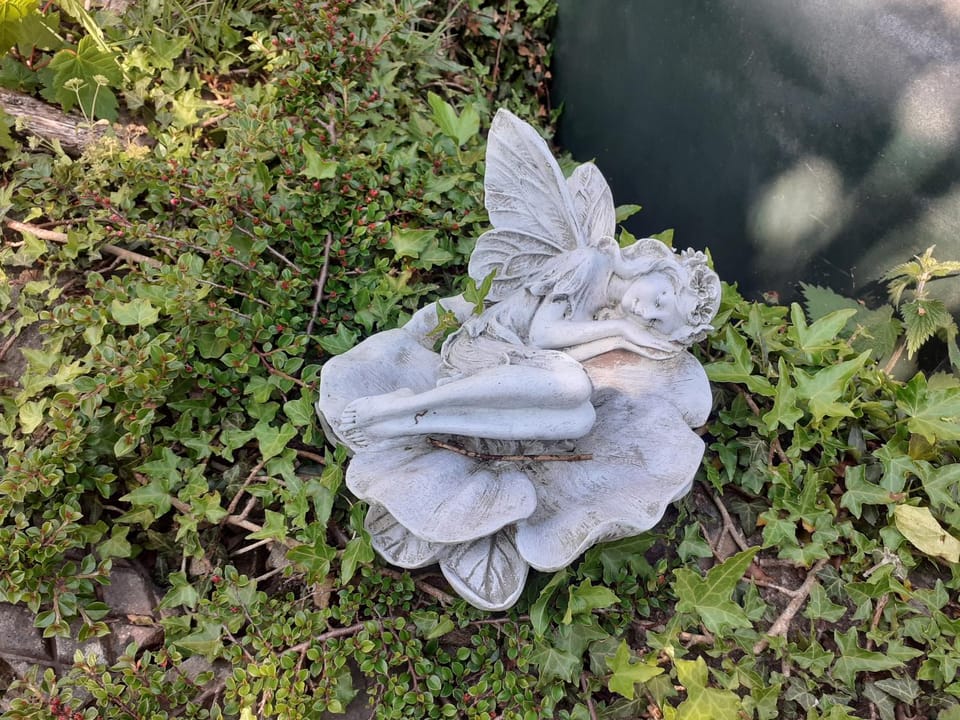 Swifts Nest House in Wales