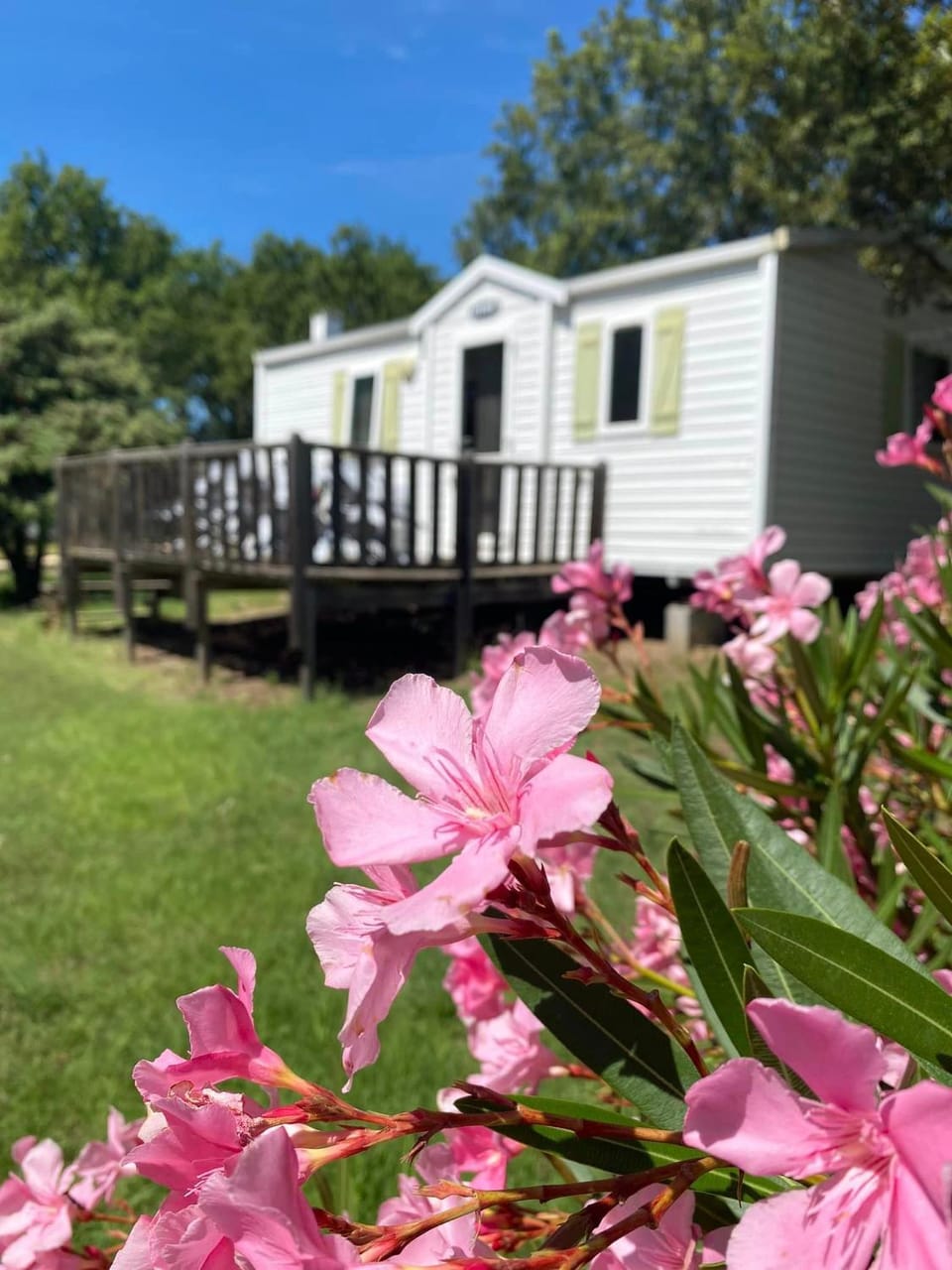 Domaine de la Chêneraie Campground/ 
RV Resort in Provence-Alpes-Côte d'Azur