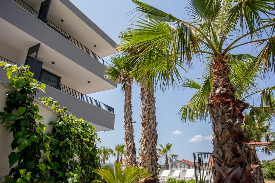 Property building, Day, Garden view