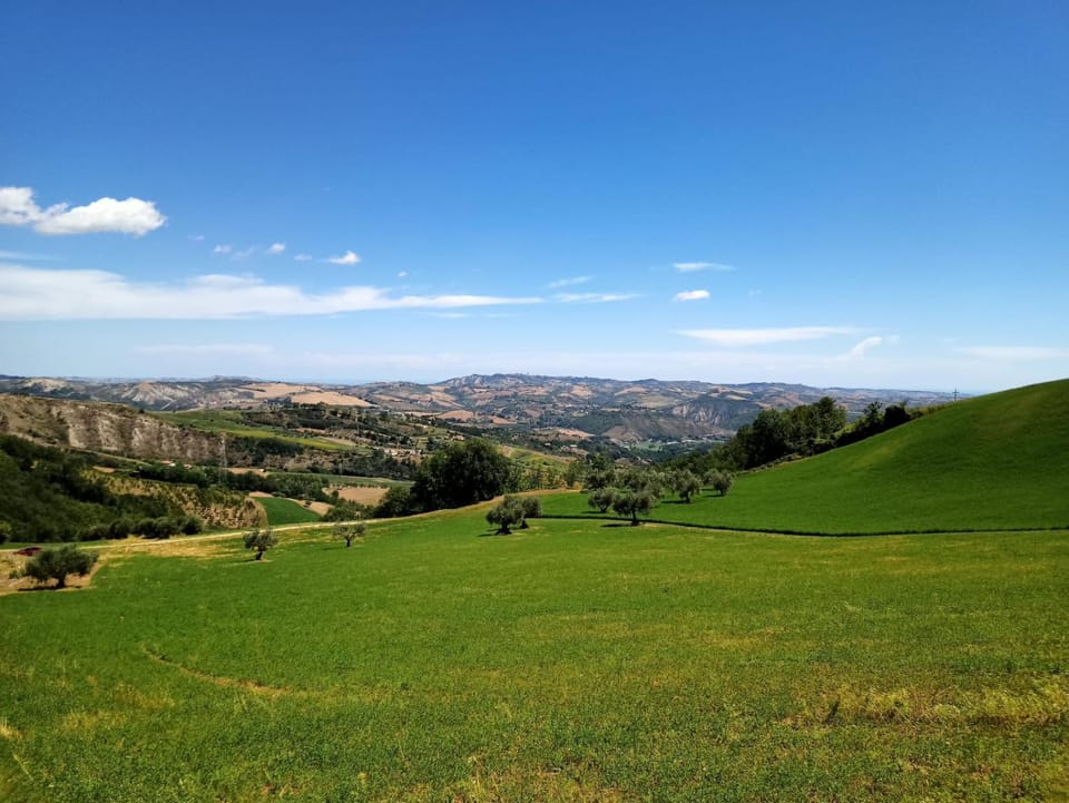 Natural landscape