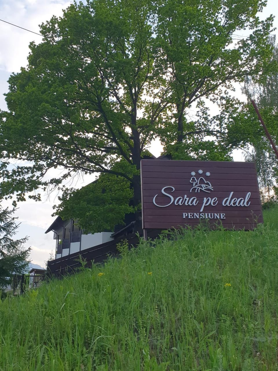 Pensiunea Sara pe deal Bed and Breakfast in Romania
