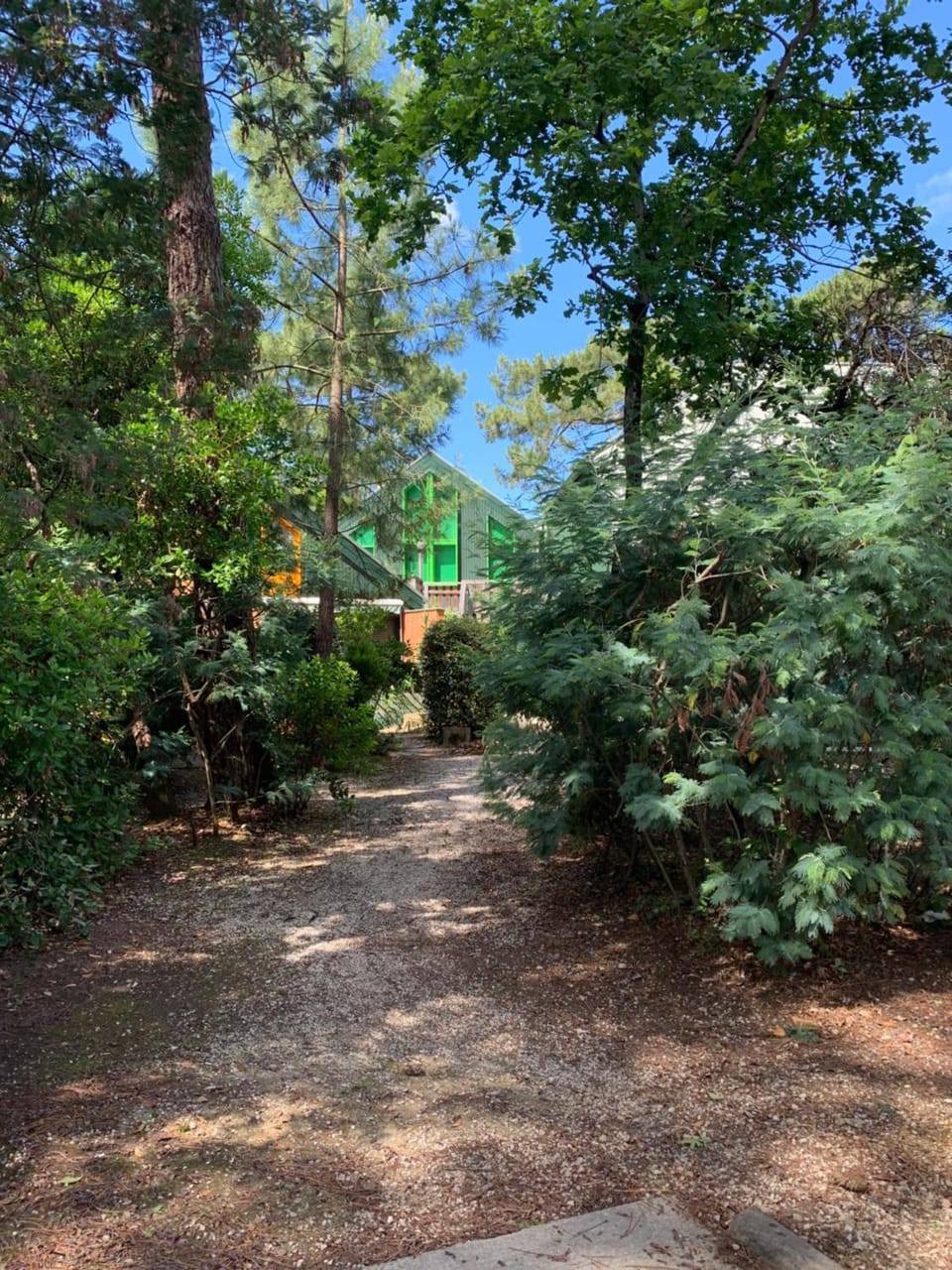 Cabane Claouey, bassin Cap ferret Apartment in Lege-Cap-Ferret