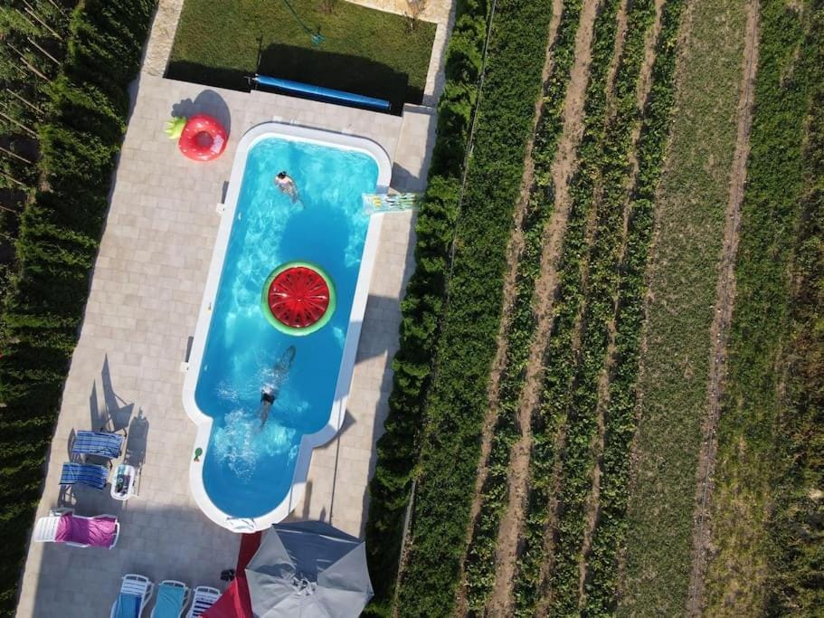House with swimming heated pool next to the river Villa in Podstrana