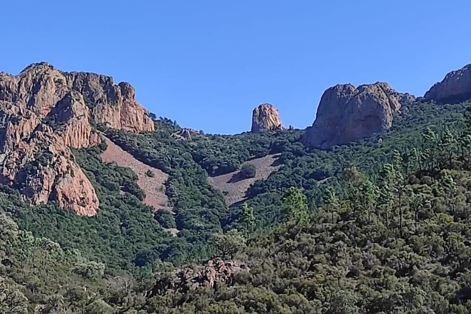 Mountain view