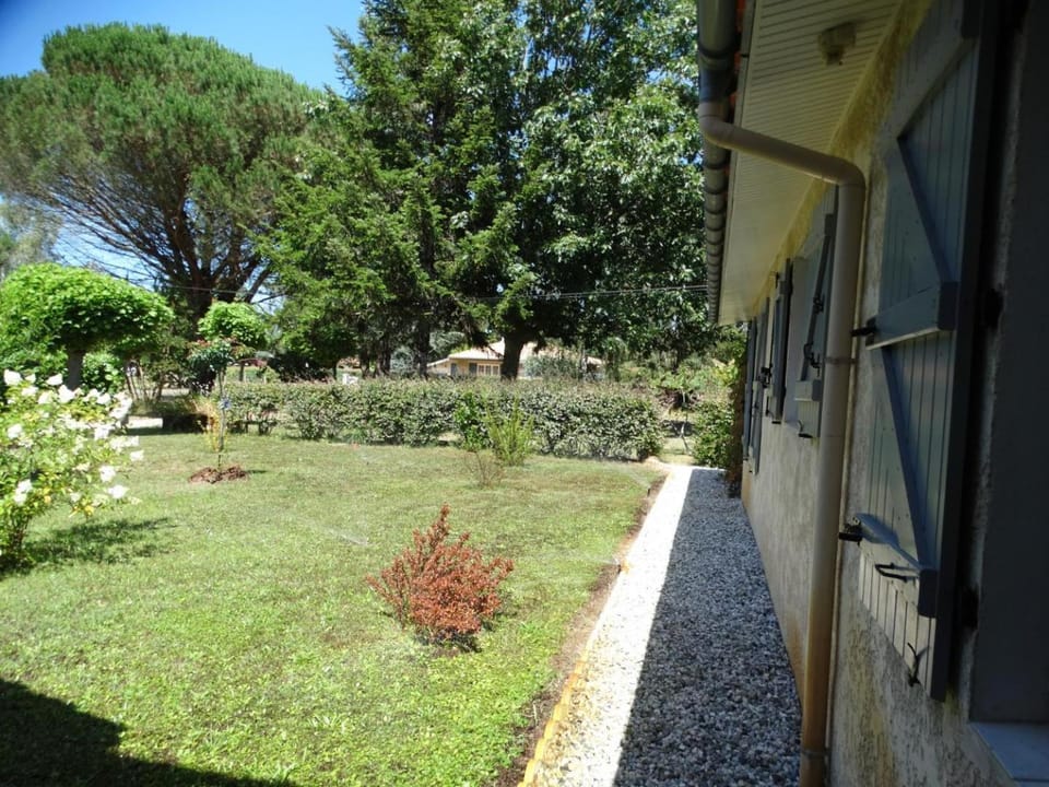 Le petit gîte du pont blanc House in Saint-Julien-en-Born