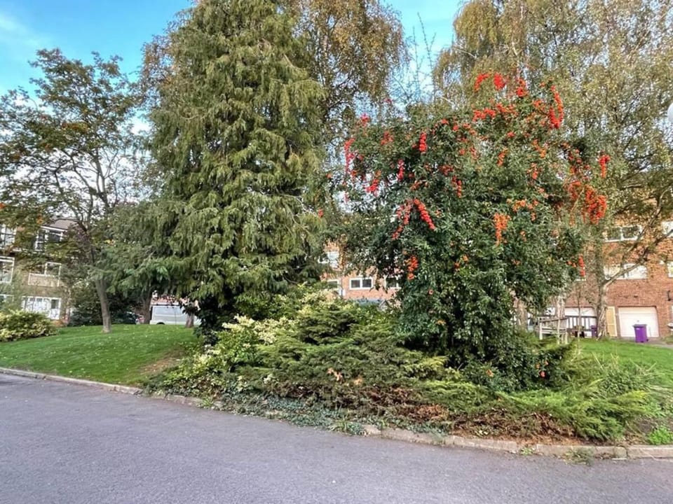 Natural landscape, Garden view