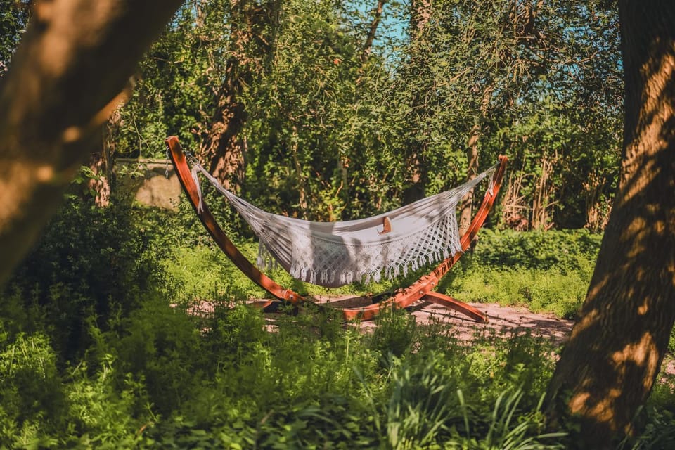 Natural landscape, Garden, Garden, Garden view, Garden view