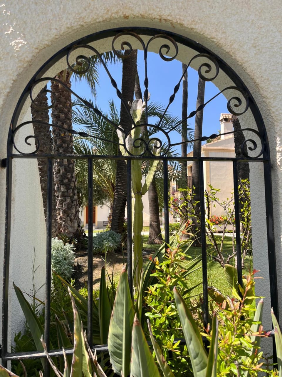 Garden, Garden view