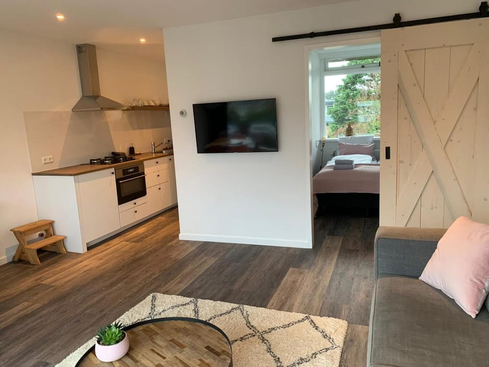 TV and multimedia, Kitchen or kitchenette, Living room, Seating area, Bedroom, minibar, pet friendly, stove