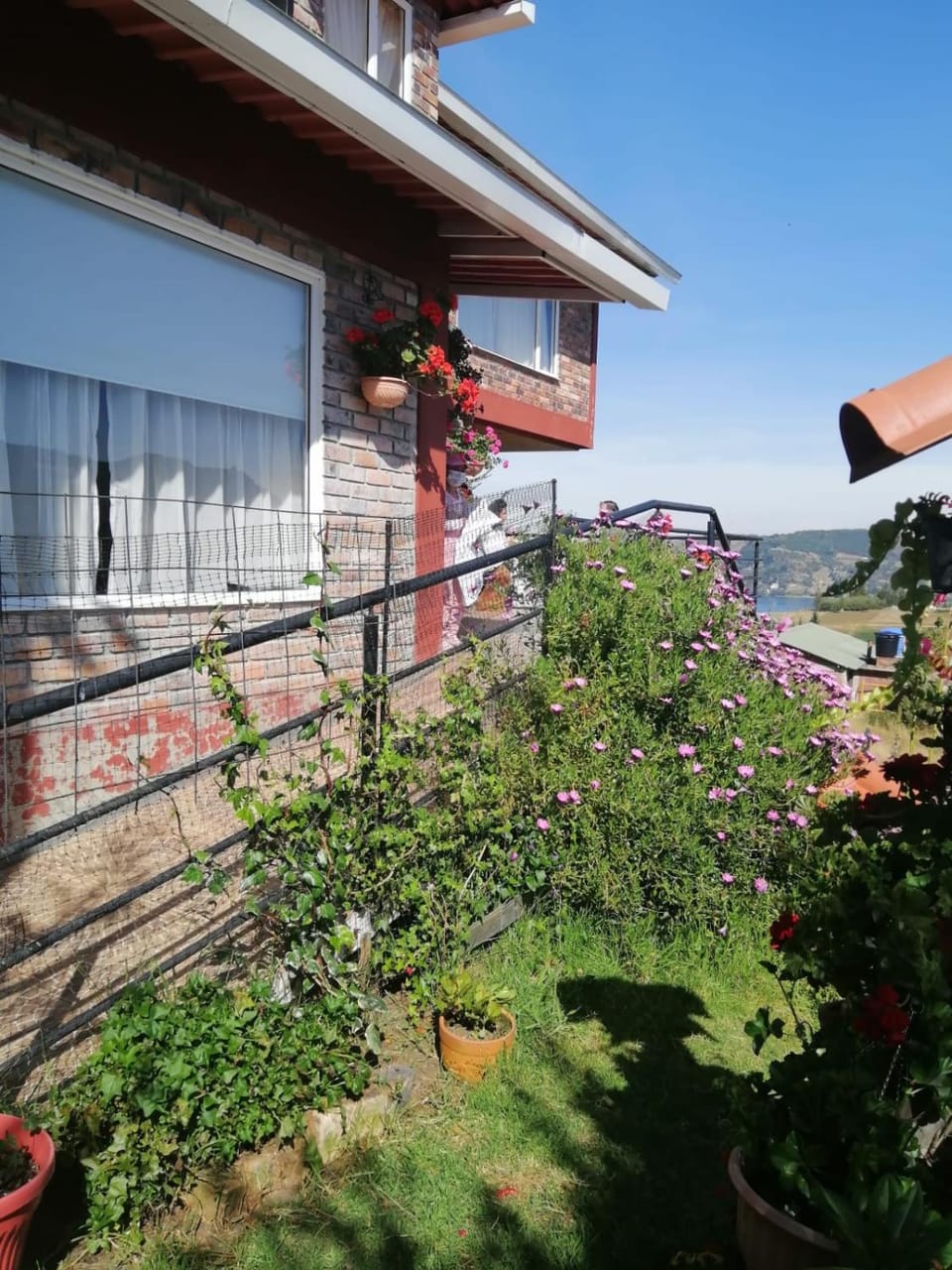 Balcony/Terrace, Garden view