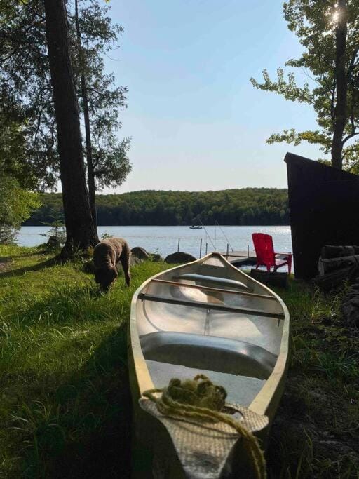 Natural landscape, Activities, Canoeing, Lake view