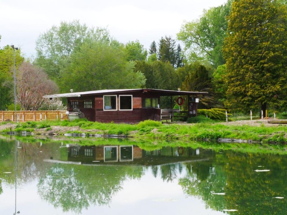 Escapade Nature au Parc de Lorraine - Gîte Lumineux pour 2-4 Pers, Activités & Détente - FR-1-585-91 Apartment in Grand Est