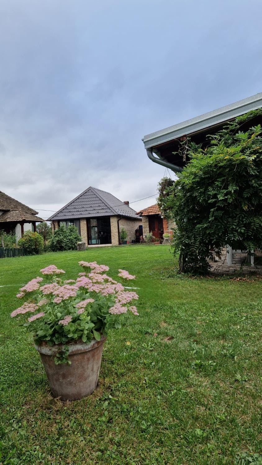 Imanje sa bazenom House in Serbia