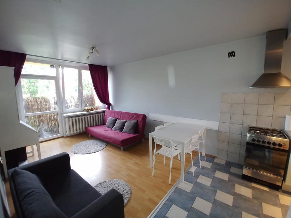 Kitchen or kitchenette, Living room, Seating area, Dining area