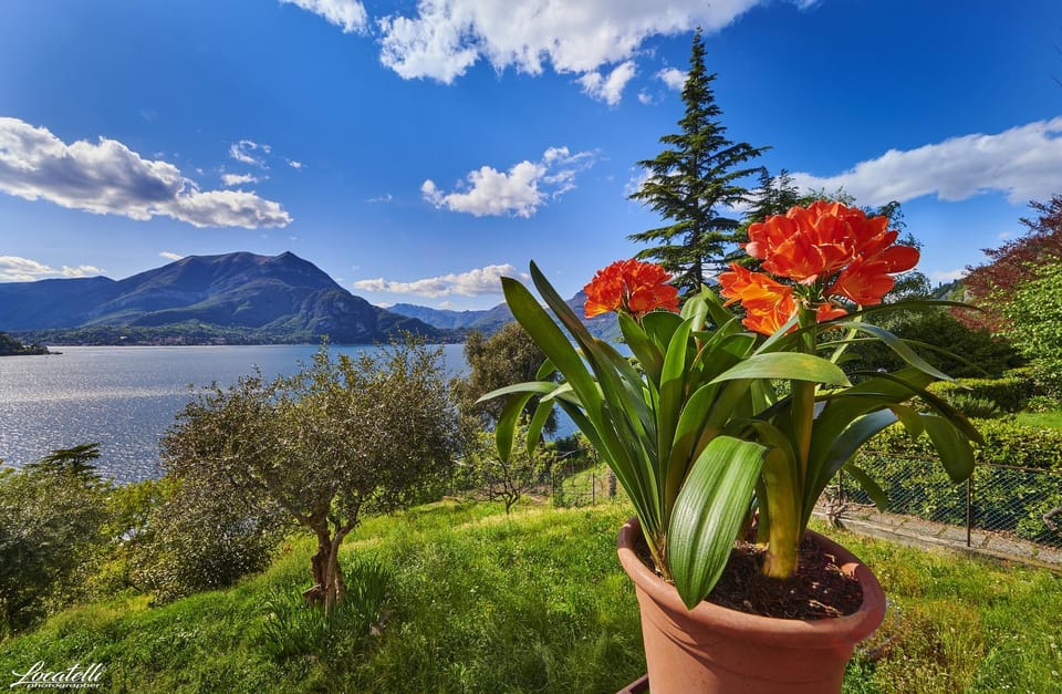 Casa Clivia House in Province of Lecco