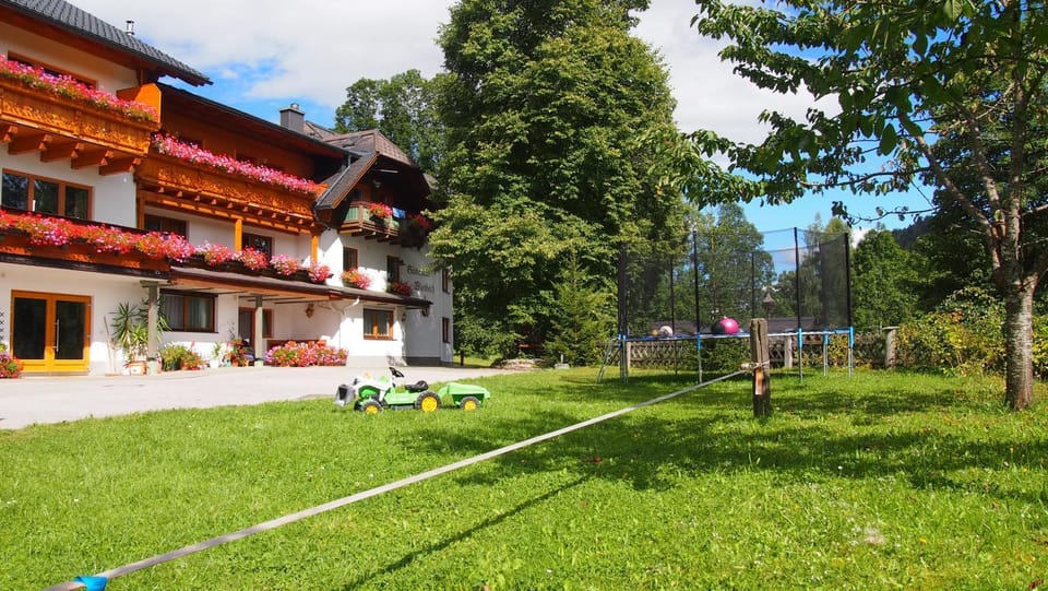 Property building, Summer, Garden