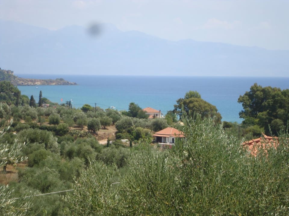 Lake view